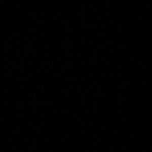 Meet your Posher, Antonio